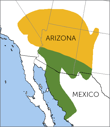 Bendire's Thrasher range map, NatureServe